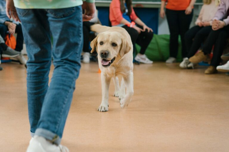 Businessfotografie Frau Winkelmann Businessshooting Claudia Rixecker final klein 9 768x512