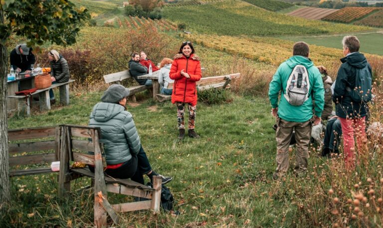 IMG 0012 Kopie 768x458