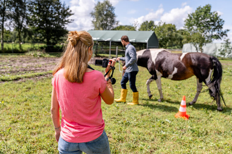230725 Friederike Horand Coaching Pferde web cMette Vasterling Fotografie 73 768x511