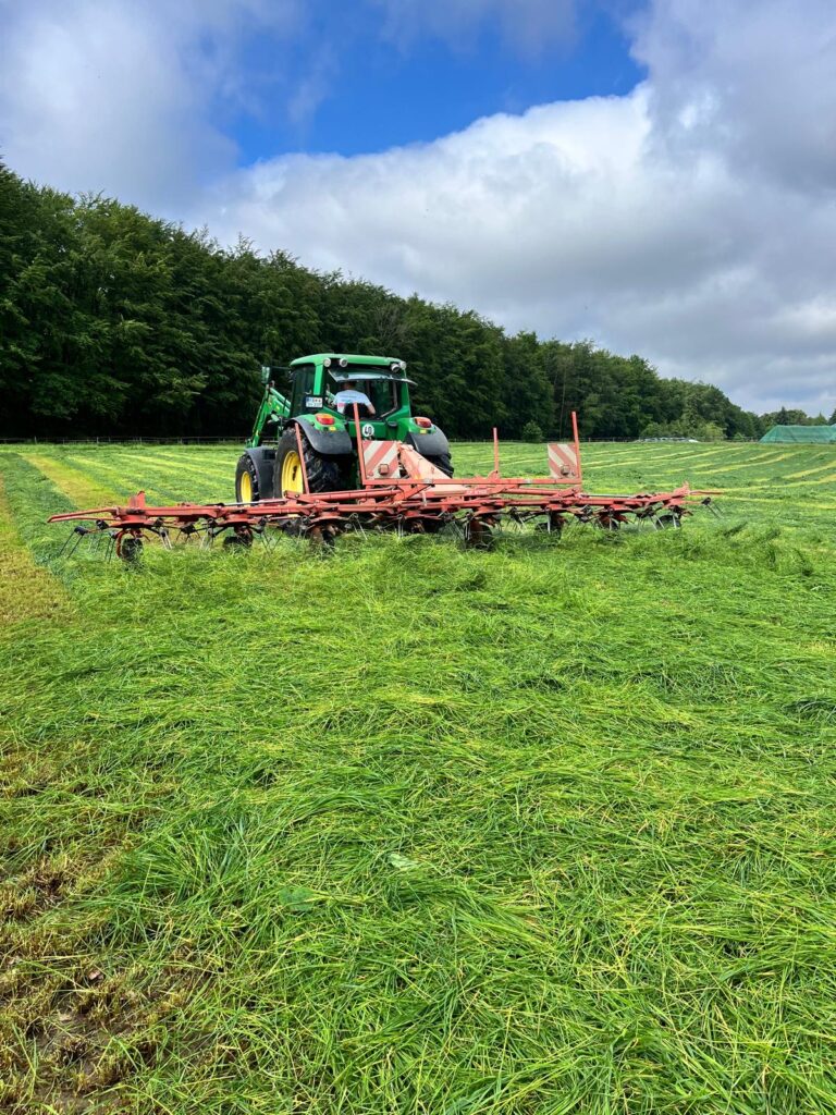 304480bd 48f0 45b0 bd63 c64a2ba8b669 1 768x1024