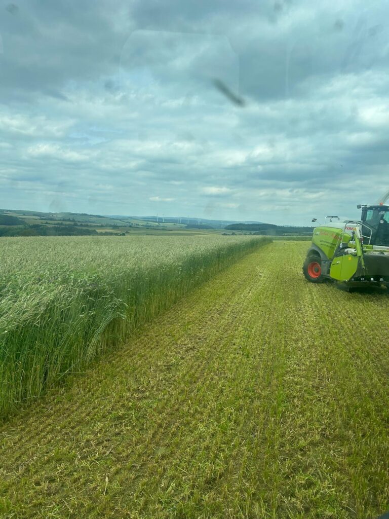 93bacc5c d5f5 4b90 a456 3ccd80c8b0da 768x1024